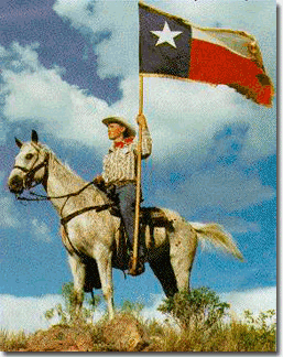 Texas flag picture
